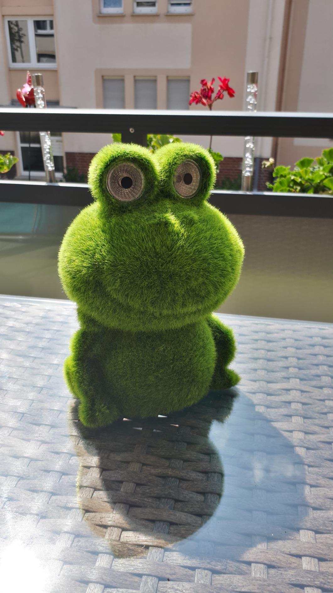 Dehner Premium Lovely Frosch Solarleuchte beflockt grün