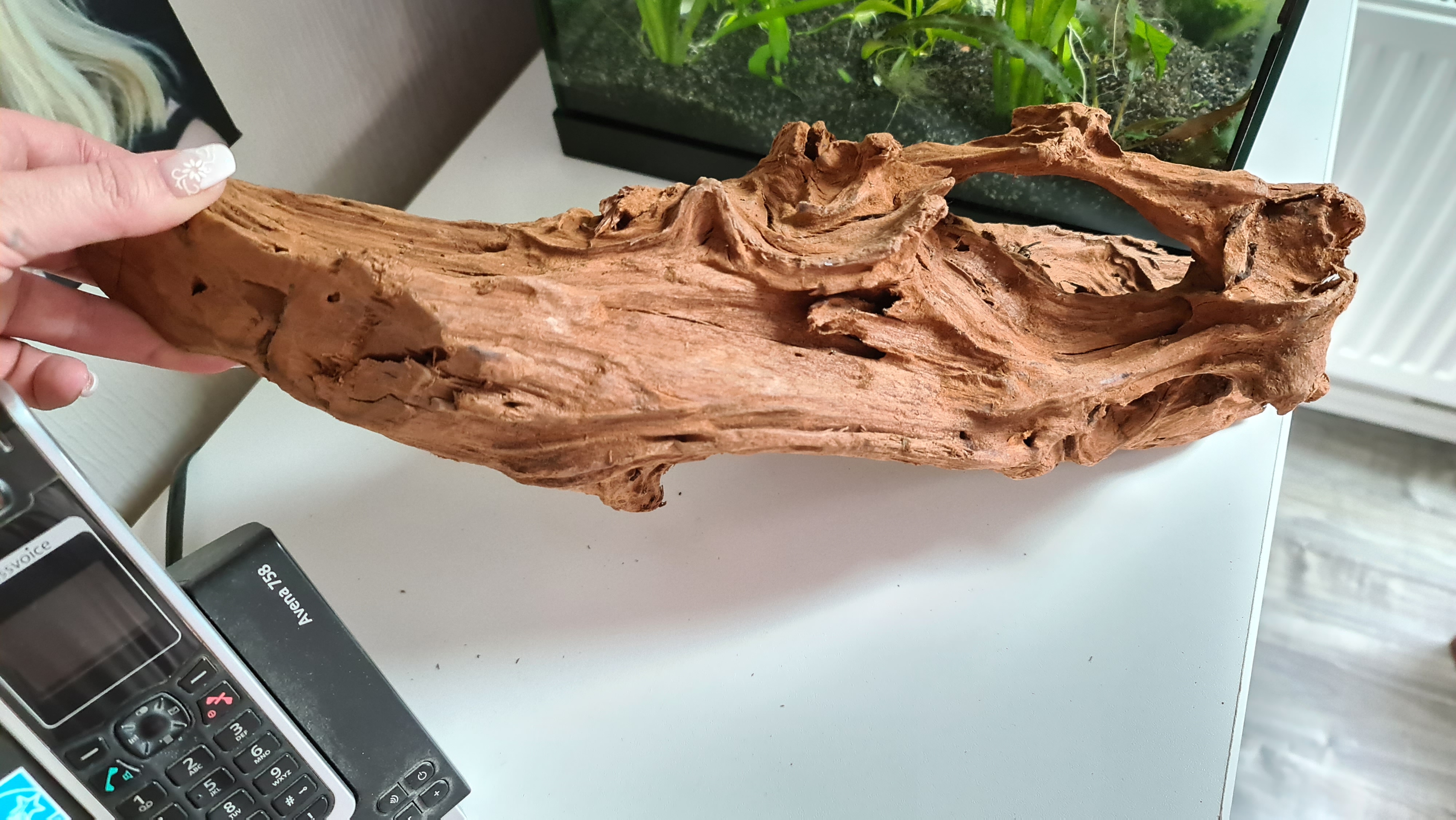 Dehner Aqua Mangrovenwurzel medium Aquariendeko 30-40 cm
