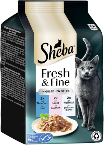 Sheba Fresh Fine Nassfutter Thunfisch Lachs 6x50g Gelee