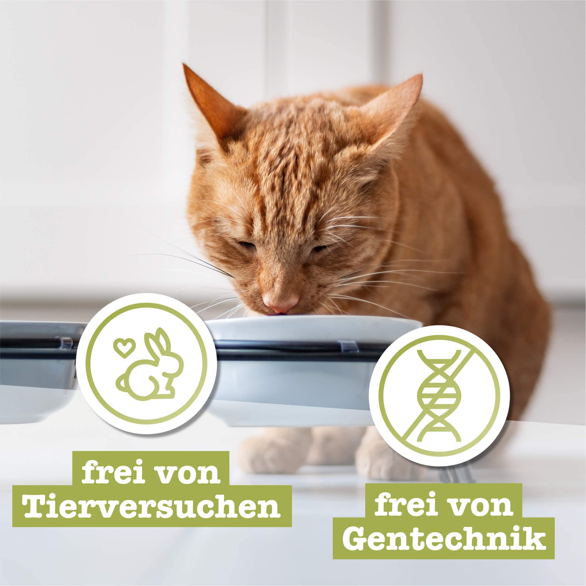 catz finefood N° 5 Lachs Geflügel Nassfutter 8 x 85 g