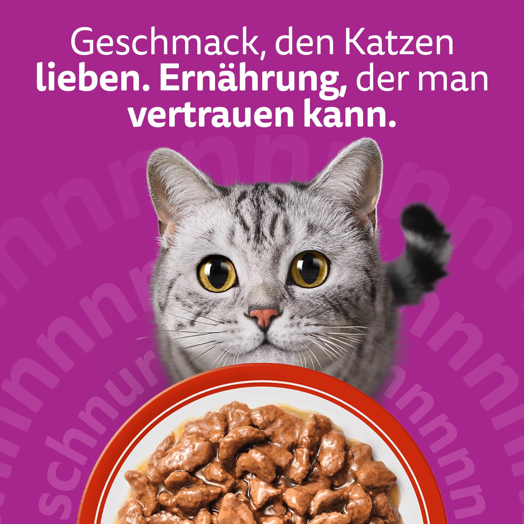 Whiskas Classic Nassfutter in Sauce Klassische Auswahl 84x85g