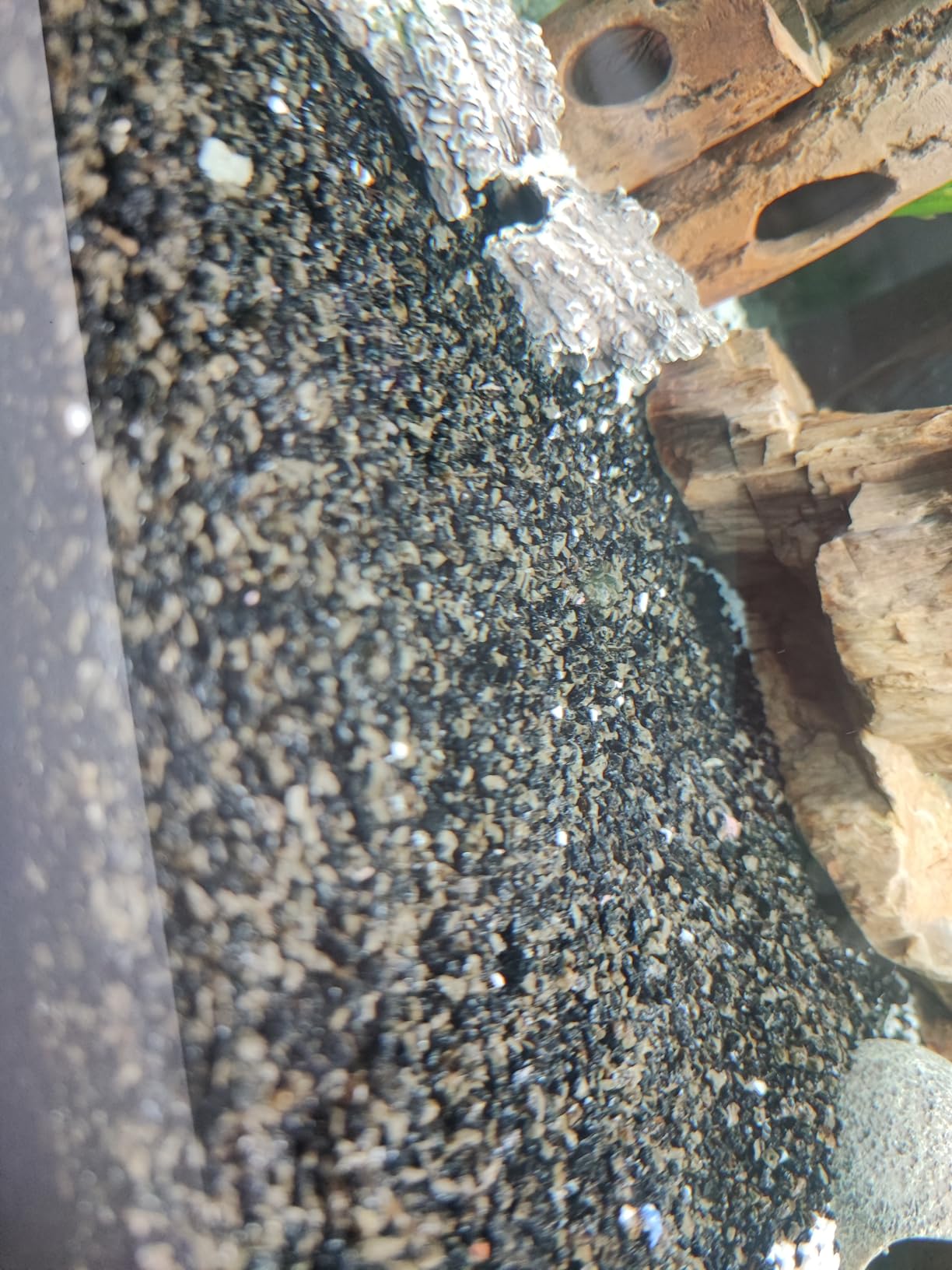 Dehner Premium Lovely Aquarienkies schwarz 2-3 mm 5 kg