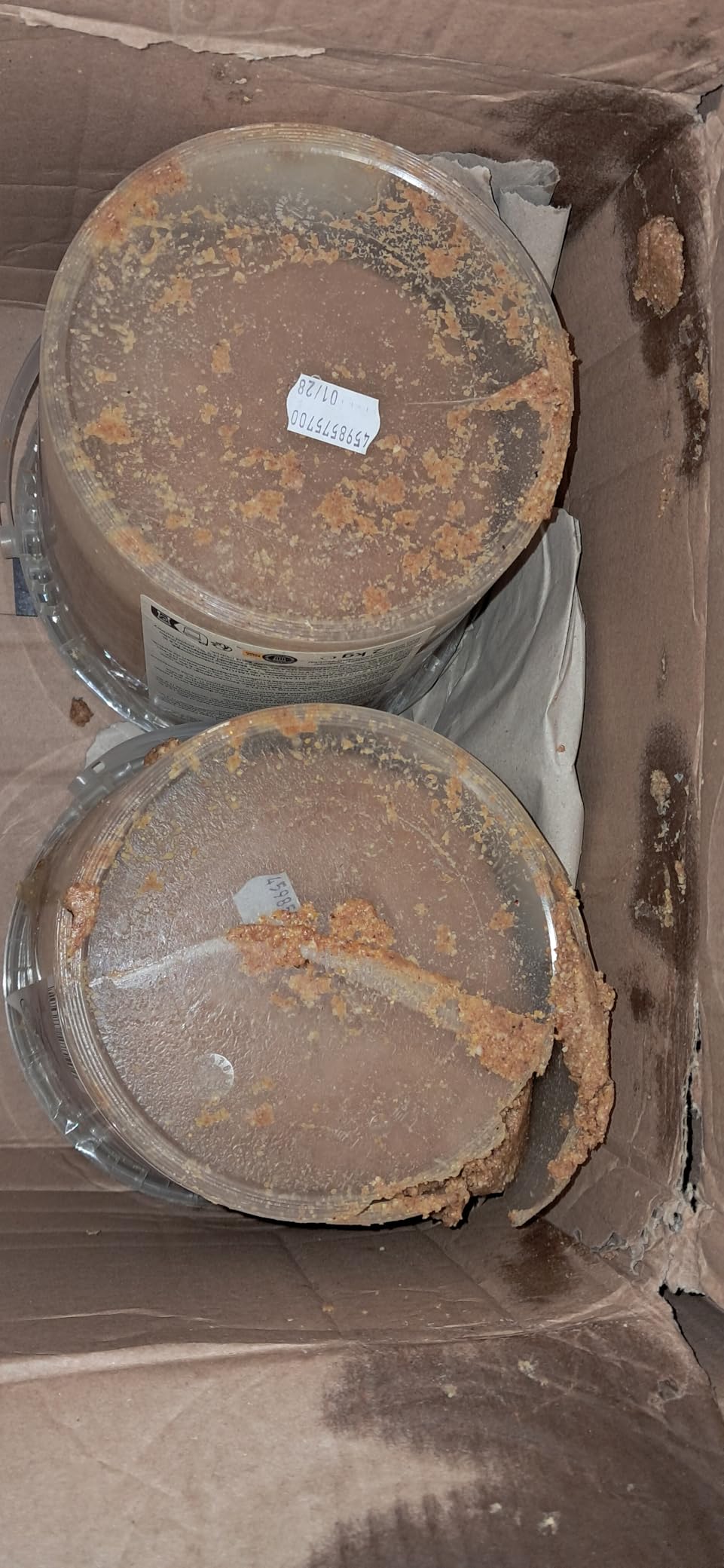 Dehner Natura Premium Erdnuss-Aufstrich Wildvogelfutter 2 kg energiereich