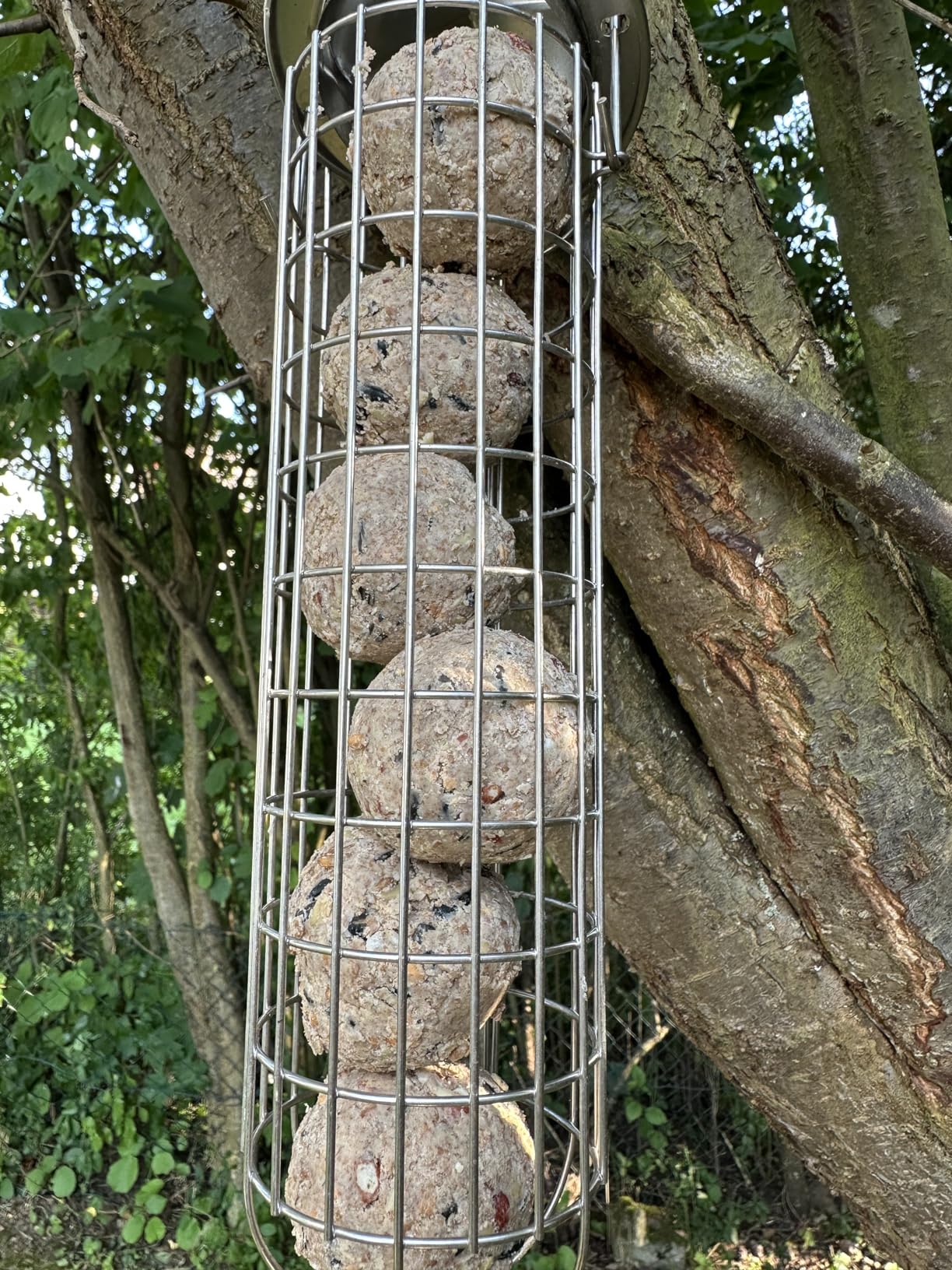 Dehner Natura Premium Meisenknödel Eimer ohne Netz 30x90 g Nuss
