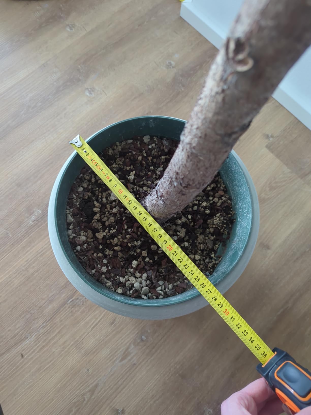Dehner Romy Übertopf Creme Ø29 cm Keramik Relief