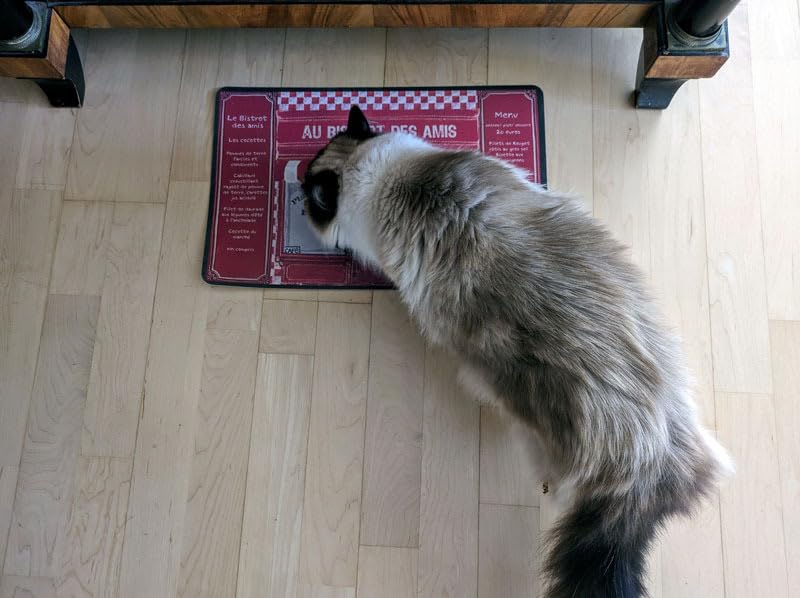 catz finefood Purrrr N°115 Nassfutter 16x85g Ente