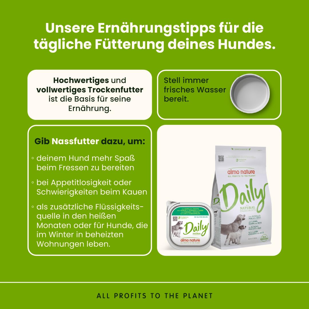 Almo Nature Daily Hundenassfutter Lamm 9x300g glutenfrei