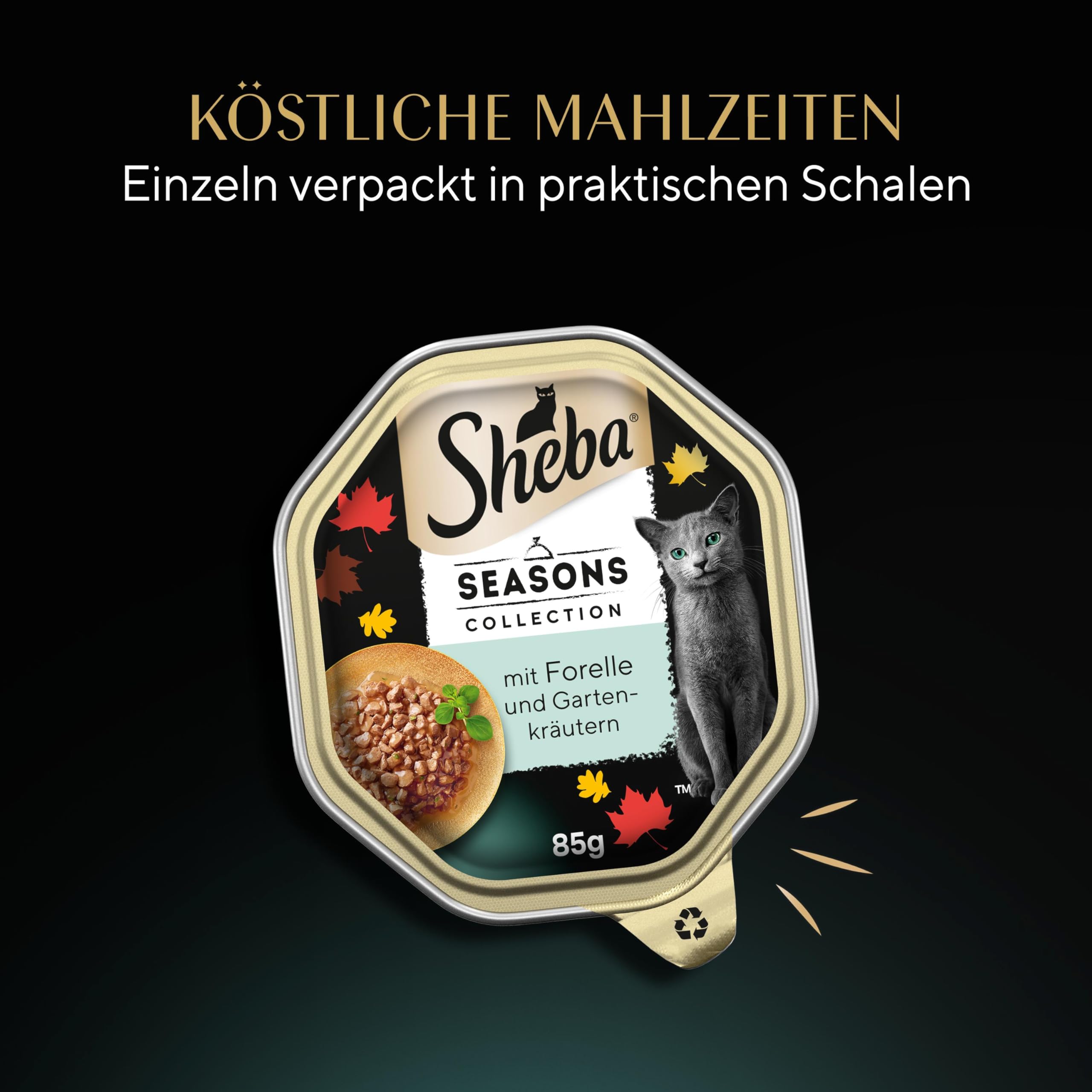 Sheba Seasons Collection Nassfutter Sauce 22x85 g zart