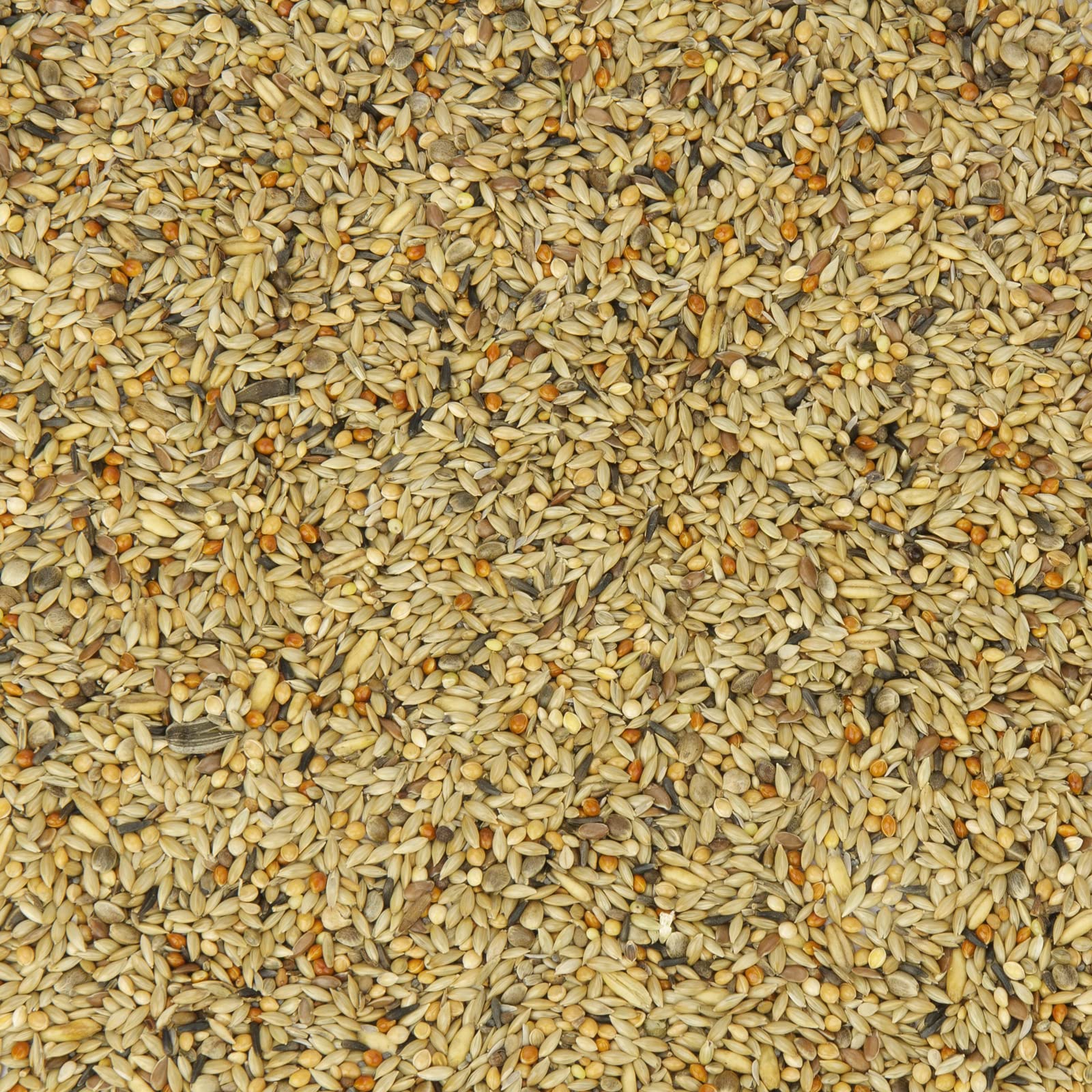Mr. Crumble Kanarien-Fit Kanarienfutter 2,5kg ohne Rübsen