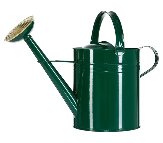 Dehner Gießkanne nostalgisch Zink grün 9l Messingbrause