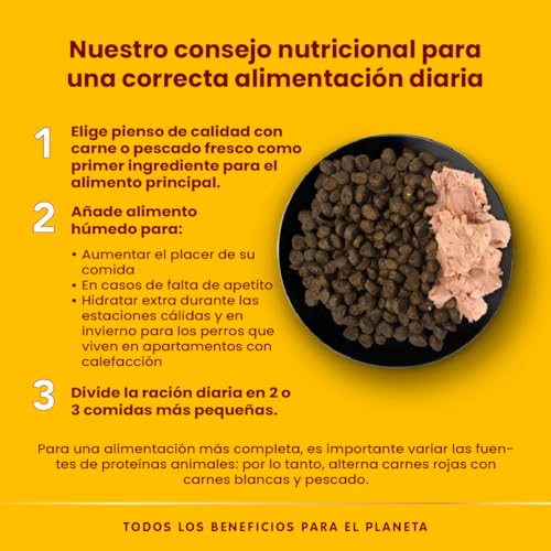 Almo Nature Bio Organic Puppy Nassfutter Huhn 32x100g
