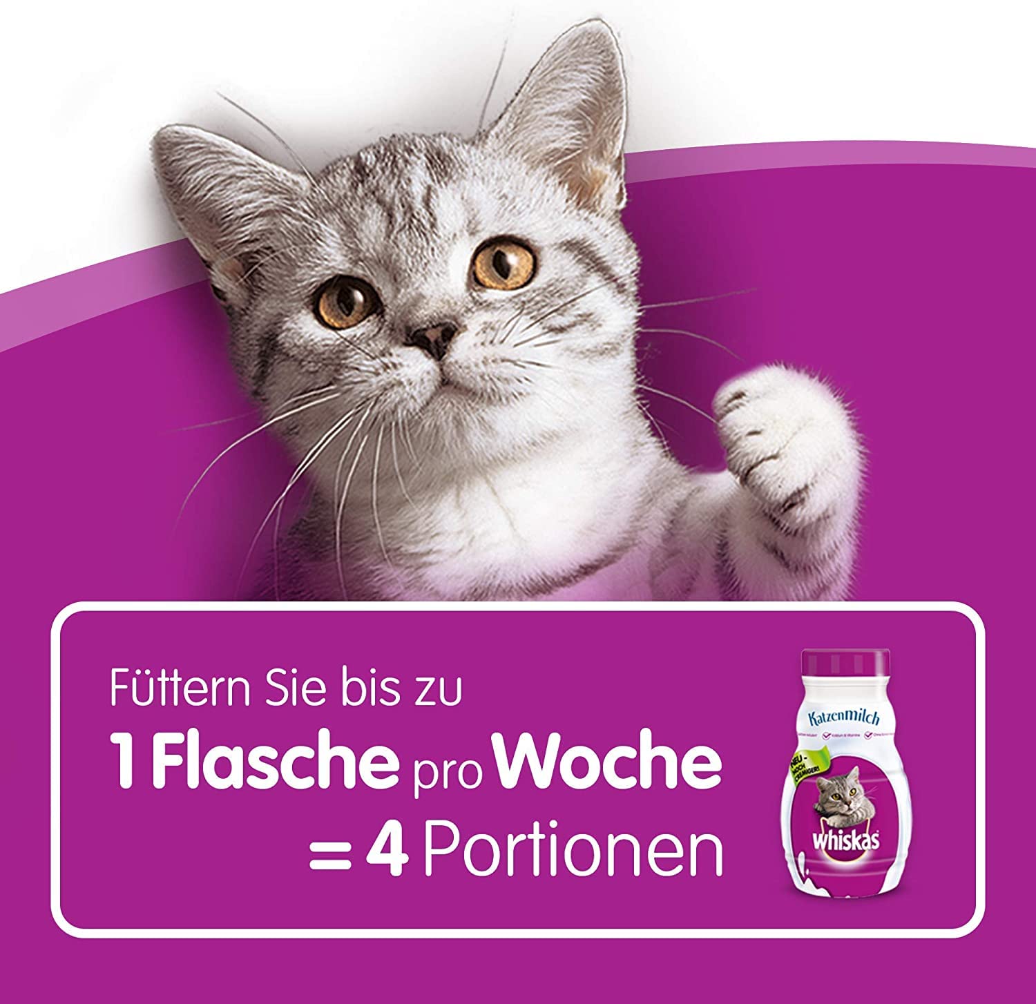 Whiskas Katzenmilch Kitten Snack laktosereduziert 15x200ml