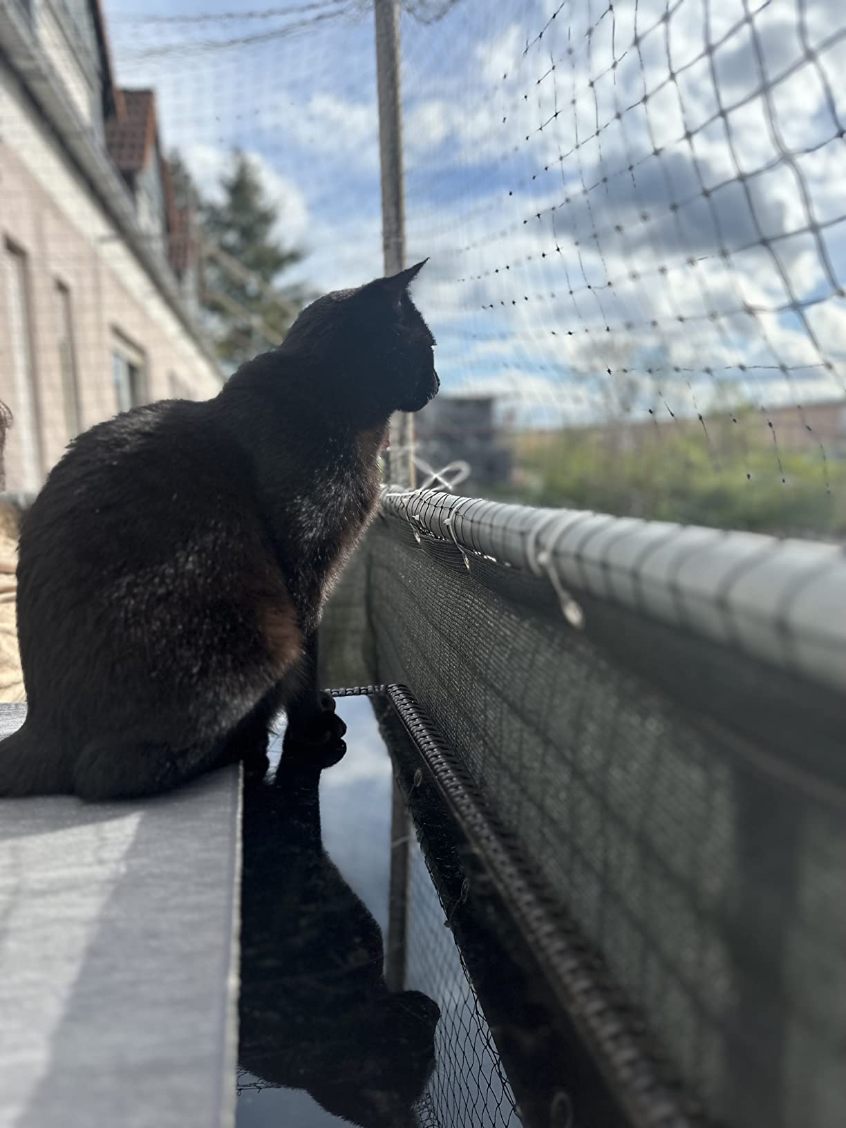Leonardo Adult Ente Trockenfutter 2kg für Katzen