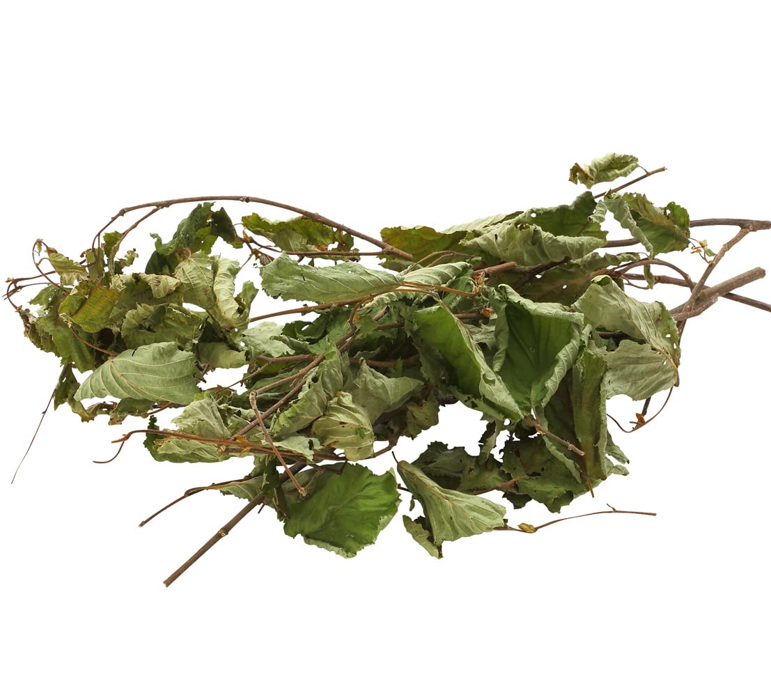 Dehner Best Nature Nagersnack Haselnusszweige 10x25g