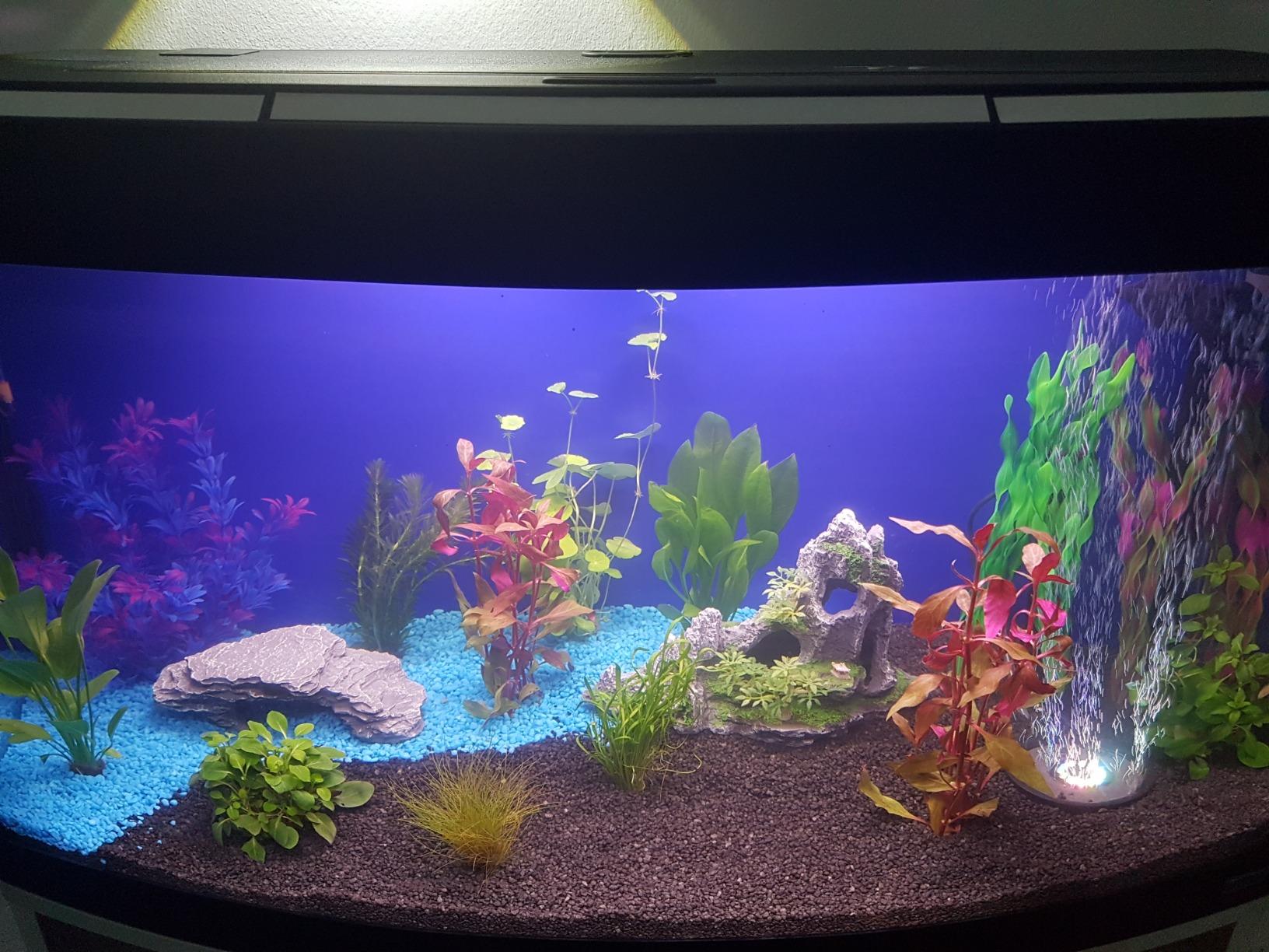 Dehner Aqua Aquarienkies 4-6 mm pastellgrün 5 kg