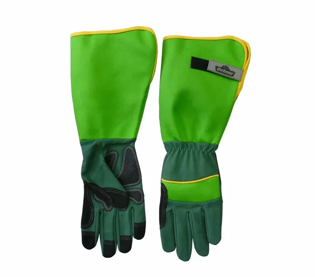 Dehner Rosenhandschuh Strauchhandschuh Größe 7 S Dornschutz