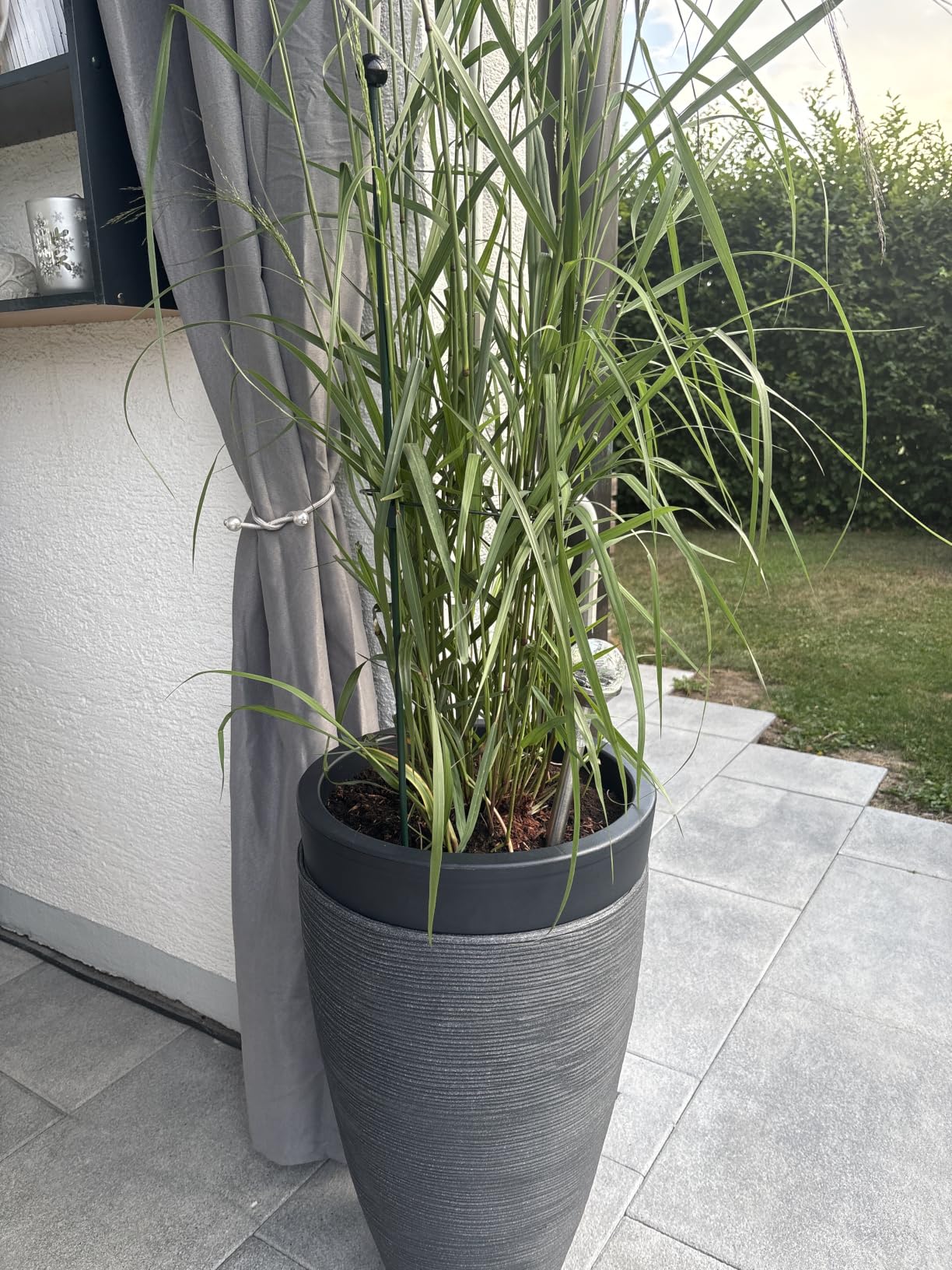 Dehner Vino Pflanzvase Ø40x60 cm anthrazit frostbeständig