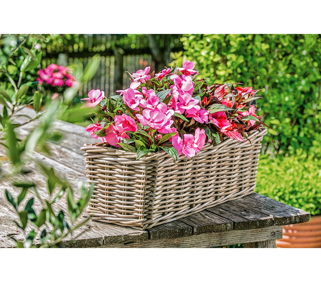 Dehner Rattan Pflanzkasten 30x15x15cm grau-braun wetterfest