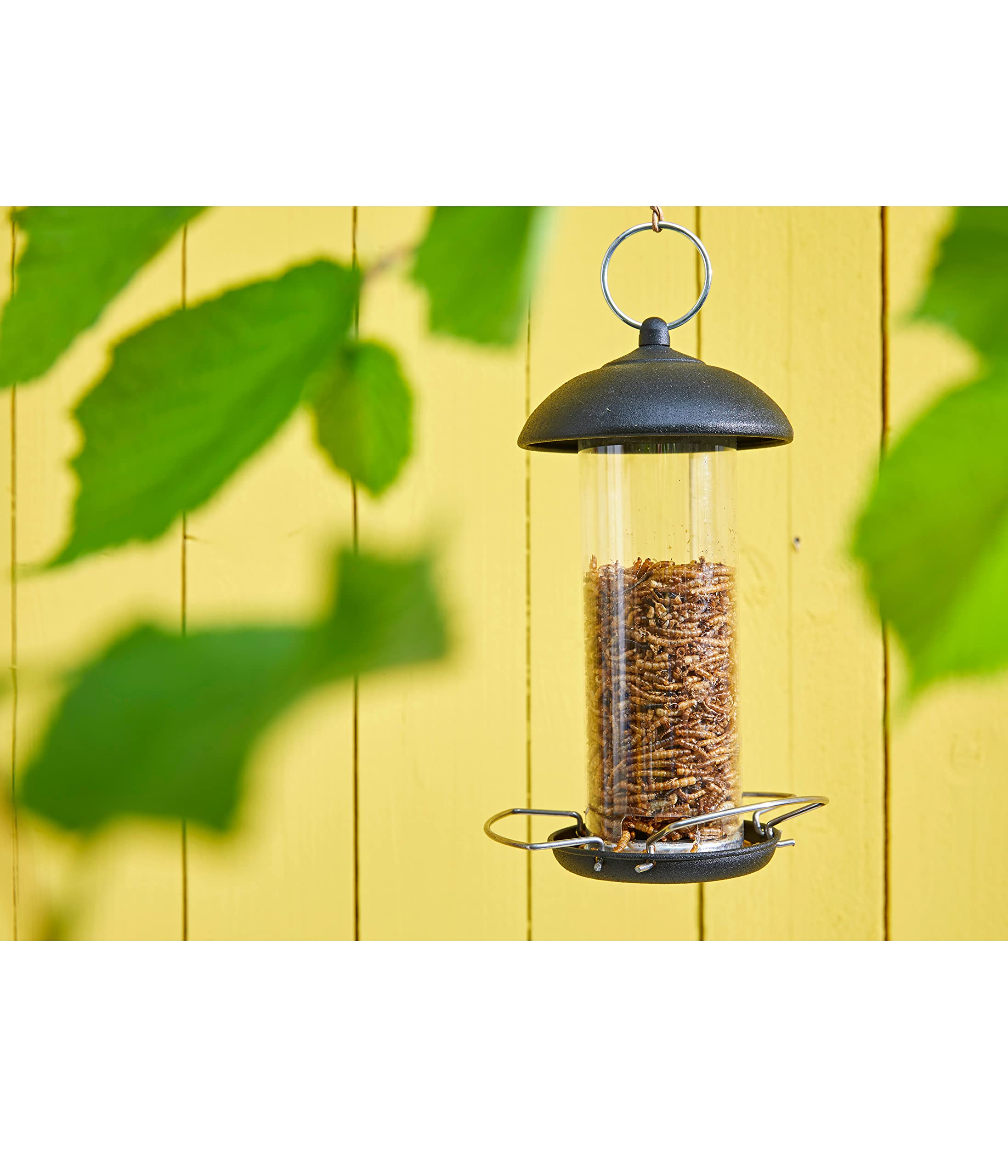 Dehner Lieblinge Mehlwürmer Wildvogelfutter 500g proteinreich