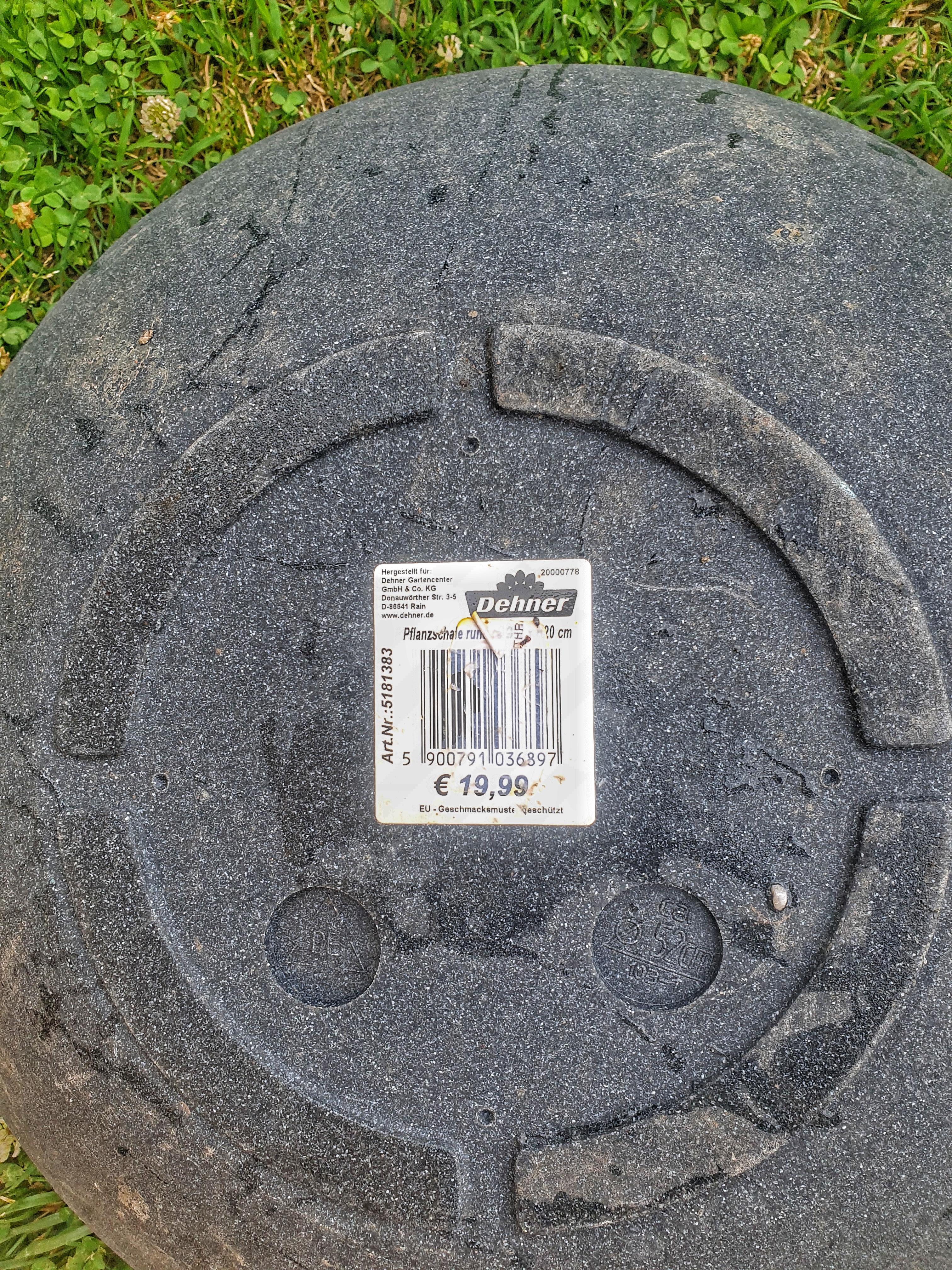 Dehner Kugelschale Pflanzschale Ø52cm anthrazit Miniteich