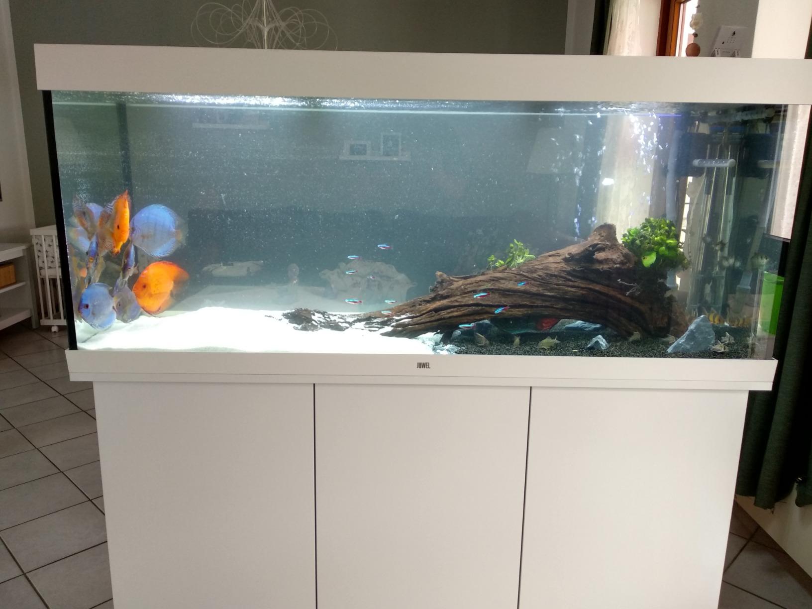 Dehner Aqua Mangrovenwurzel Extra Large Aquariendeko 80-90 cm