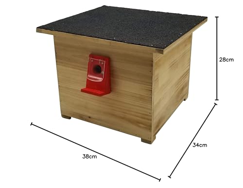 Dehner Natura Hummelhaus Nistkasten Tannenholz natur 38x34x28cm
