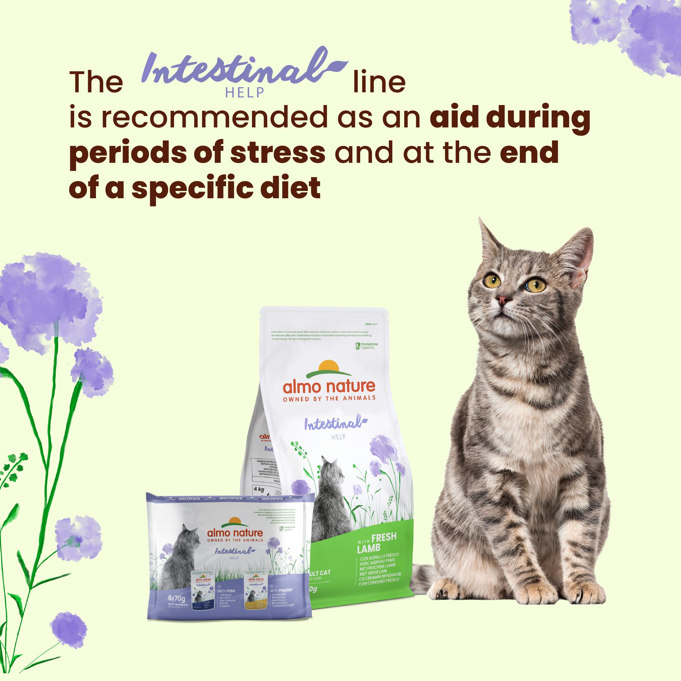 Almo Nature Functional Intestinal Help Katzenfutter Geflügel 30x70g sensitiv