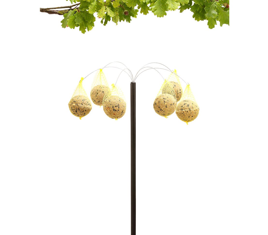 Dehner Natura Meisenknödelpalme Futterständer 139 cm für 6 Knödel