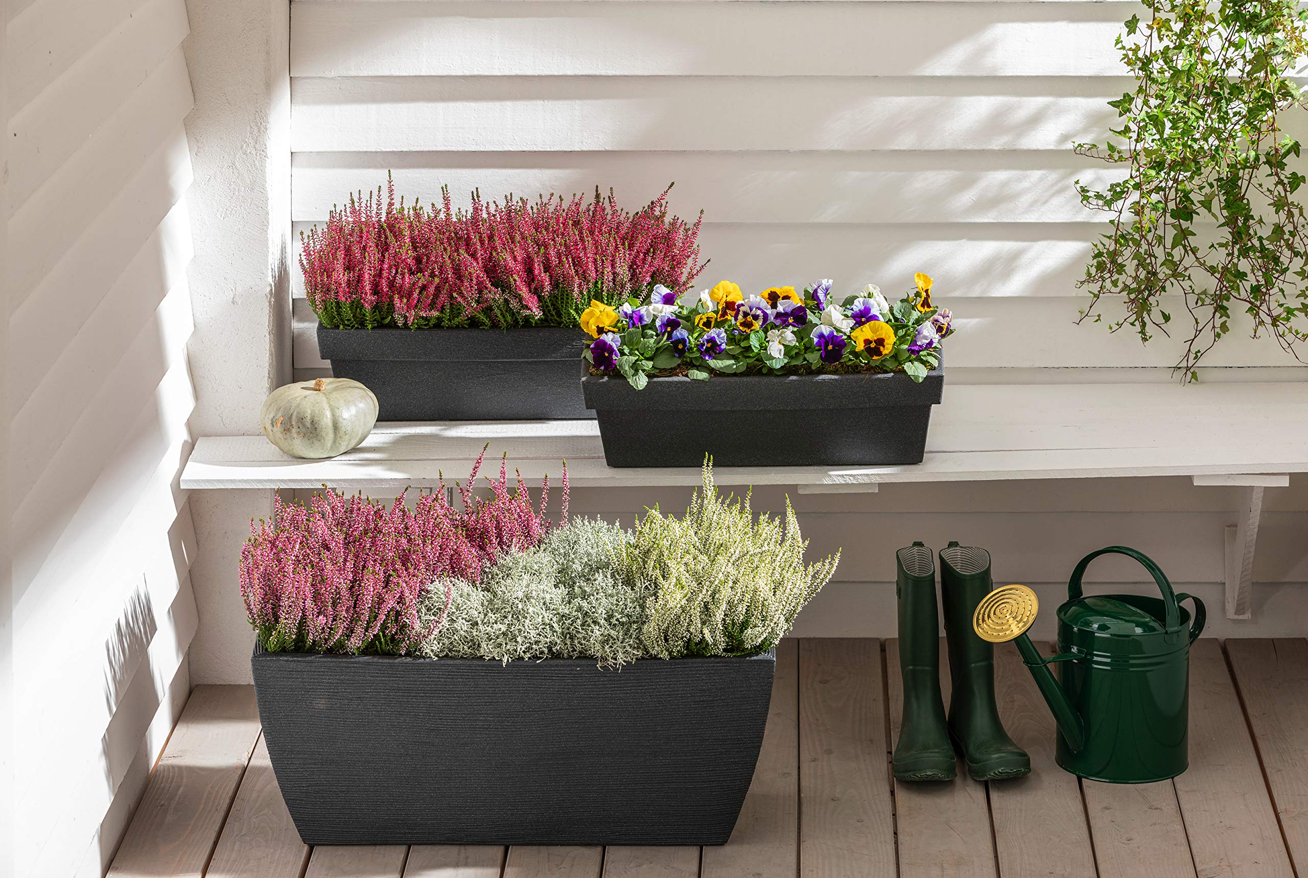 Dehner Gartencenter Mailand Blumenkasten 60cm anthrazit Kunststoff