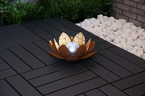 Dehner Lotus Rostock Solarleuchte Metall Glas kupfer 27cm