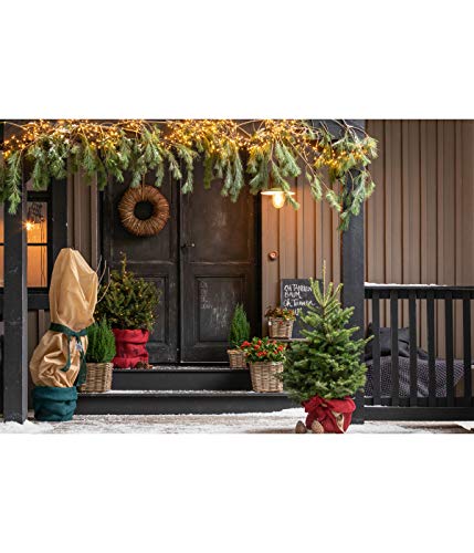 Dehner Juteband Wickelstreifen Baumwolle beige 15cm