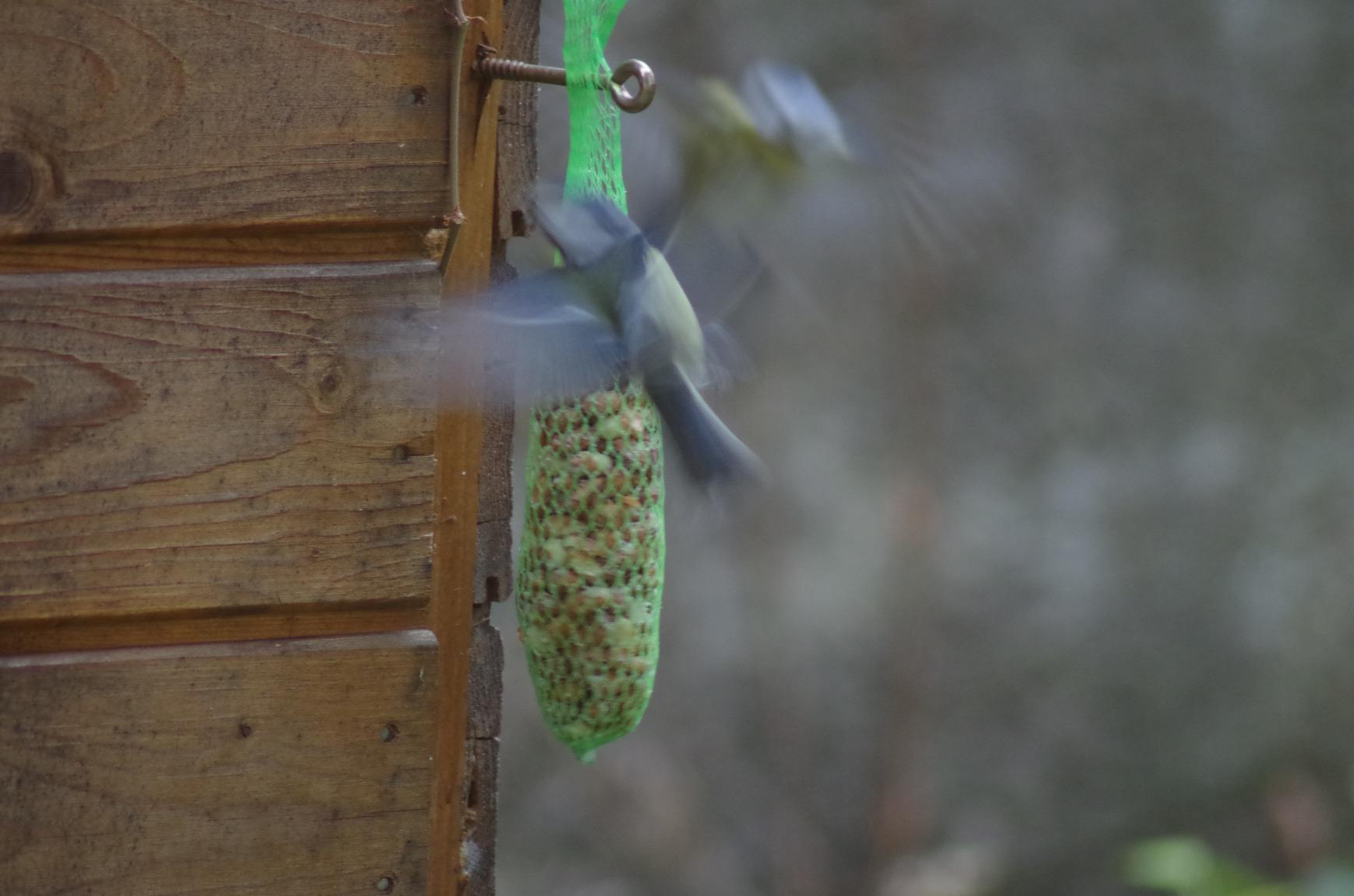 Dehner Natura Premium Wildvogelfutter Spezialitäten-Mix 420g Netz