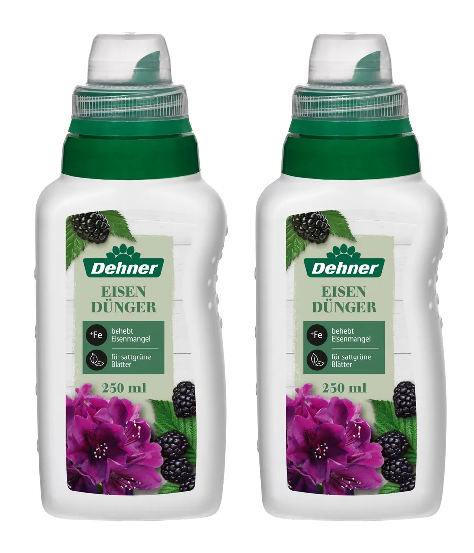 Dehner Premium Eisendünger flüssig 2x250 ml gegen Gelbfärbung