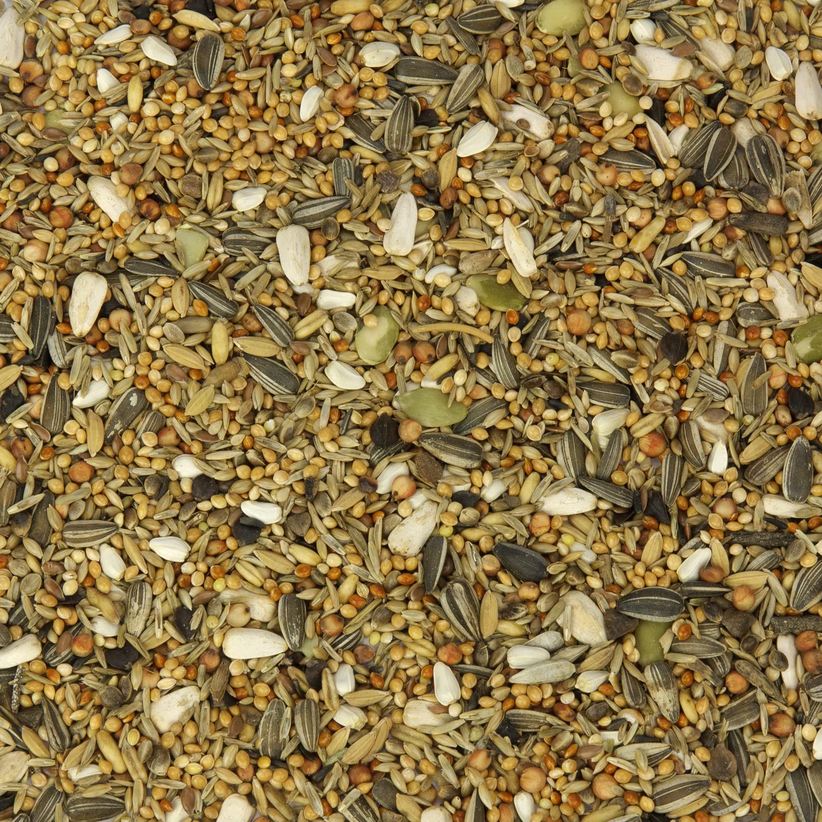 Mr. Crumble Großsittich-Fit Großsittichfutter 2,5 kg Grassamen