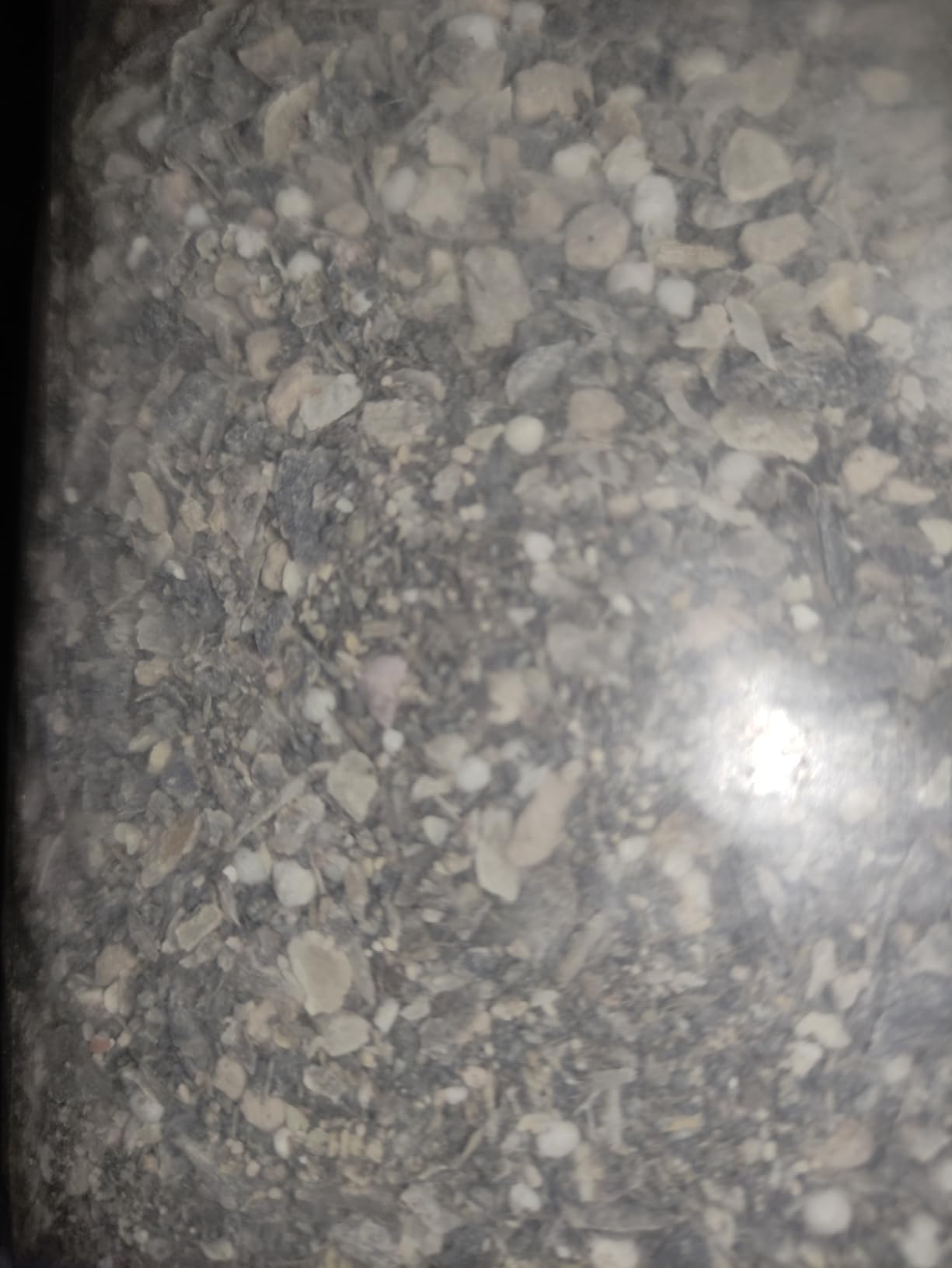Dehner Bio Naturdünger mit Guano 2,5kg organisch-mineralisch