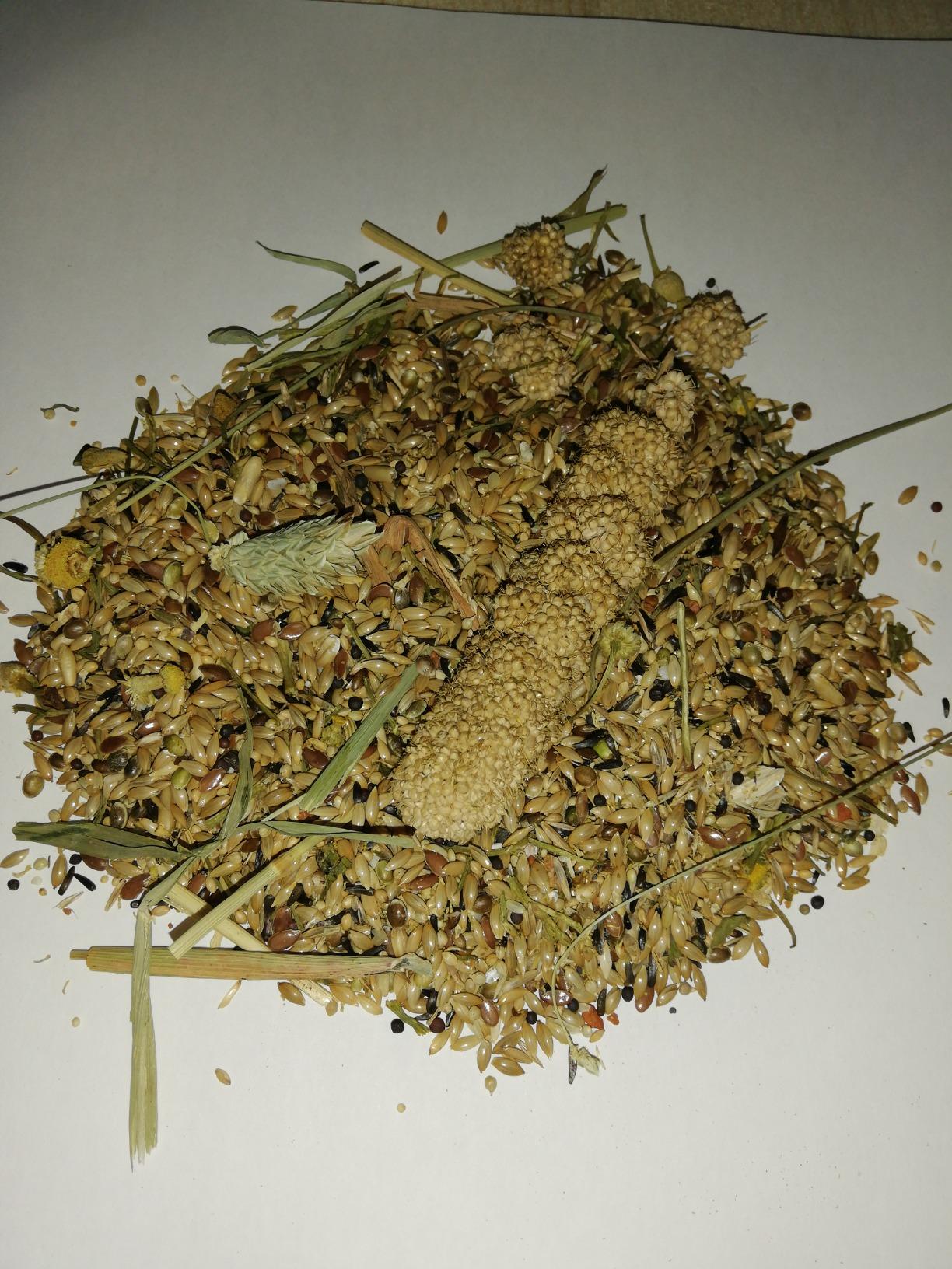 Dehner Best Nature Vogelfutter Kanarienfutter 2,5 kg Saaten
