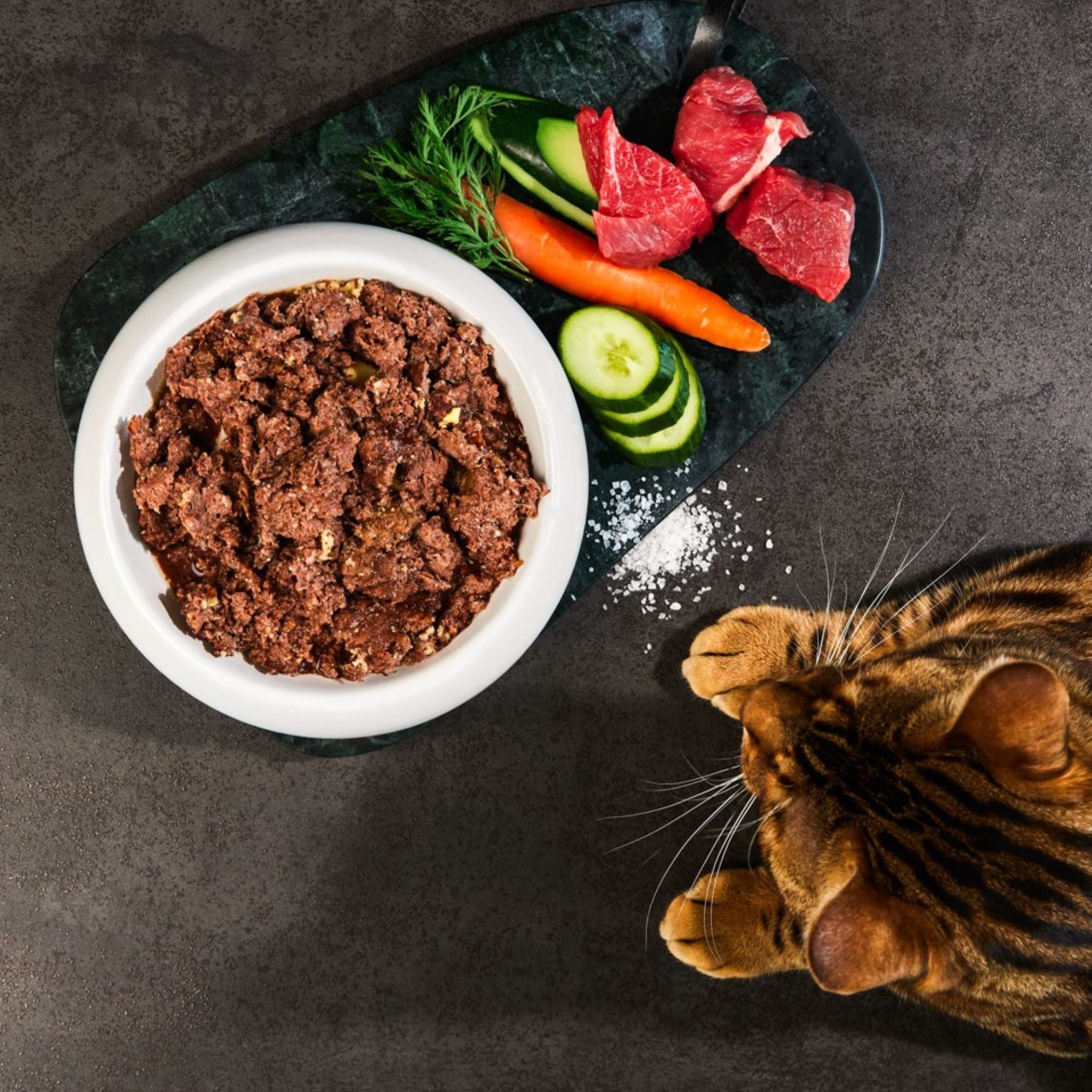 Lucky-Kitty Wild Nassfutter 200g hypoallergen Monoprotein
