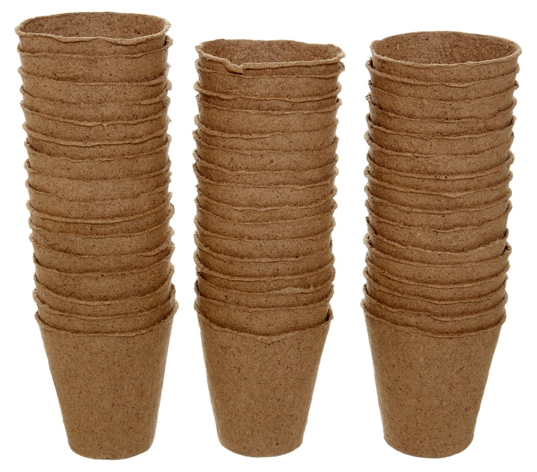 Dehner Anzuchttöpfe Zellulose Ø8cm 48 Stück torffrei