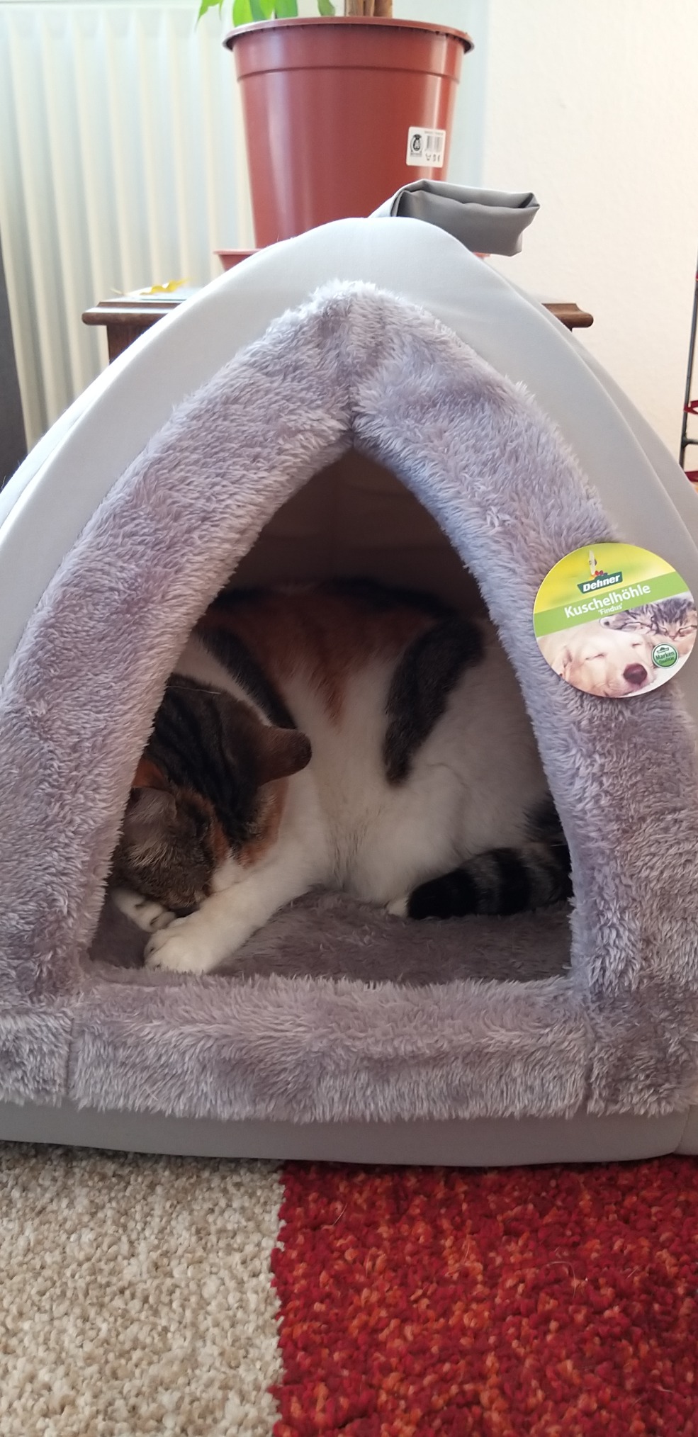 Dehner Lieblinge Findus Katzen Kuschelhöhle Grau 40x40x35