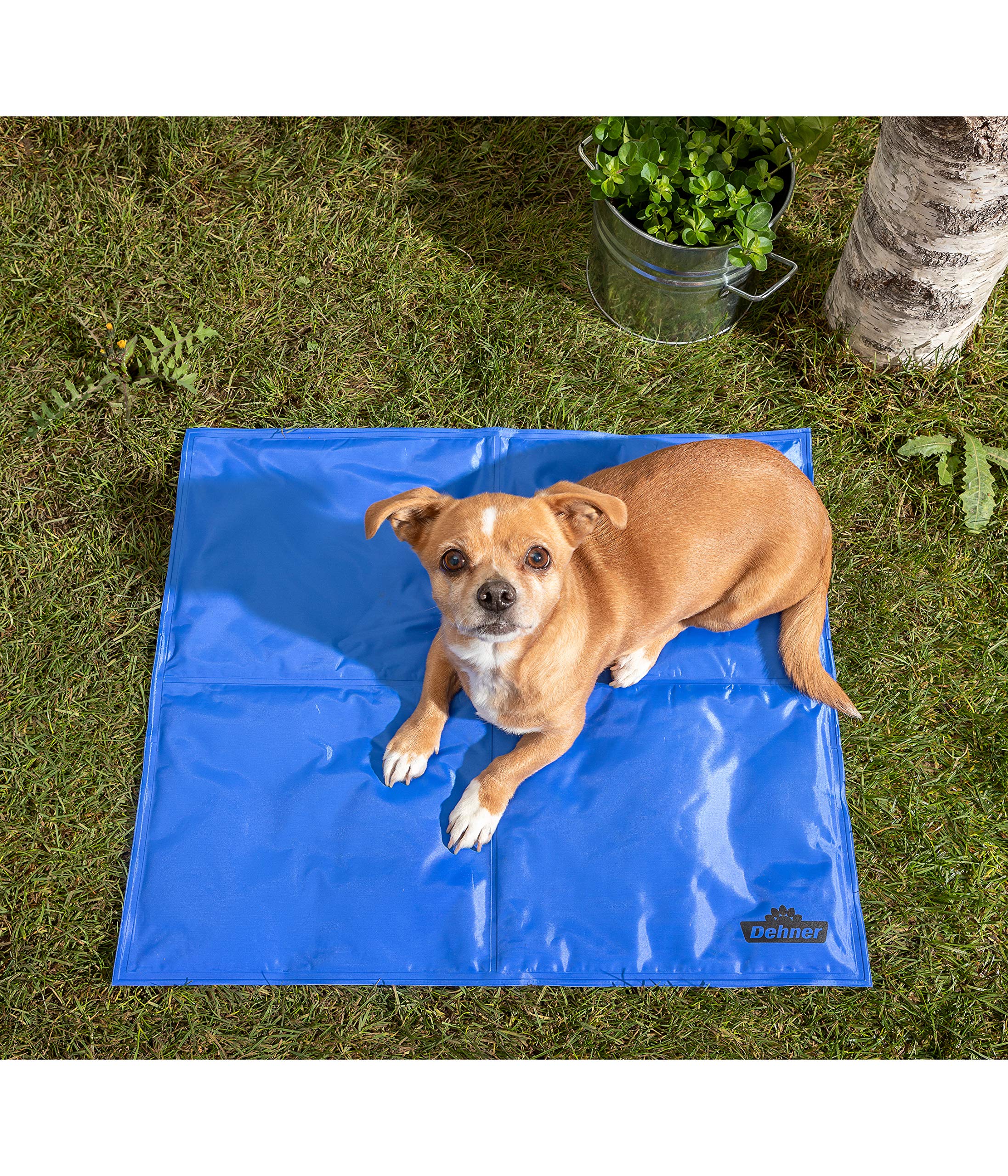 Dehner Refresh Hunde-Kühlmatte 60x50 blau selbstkühlend