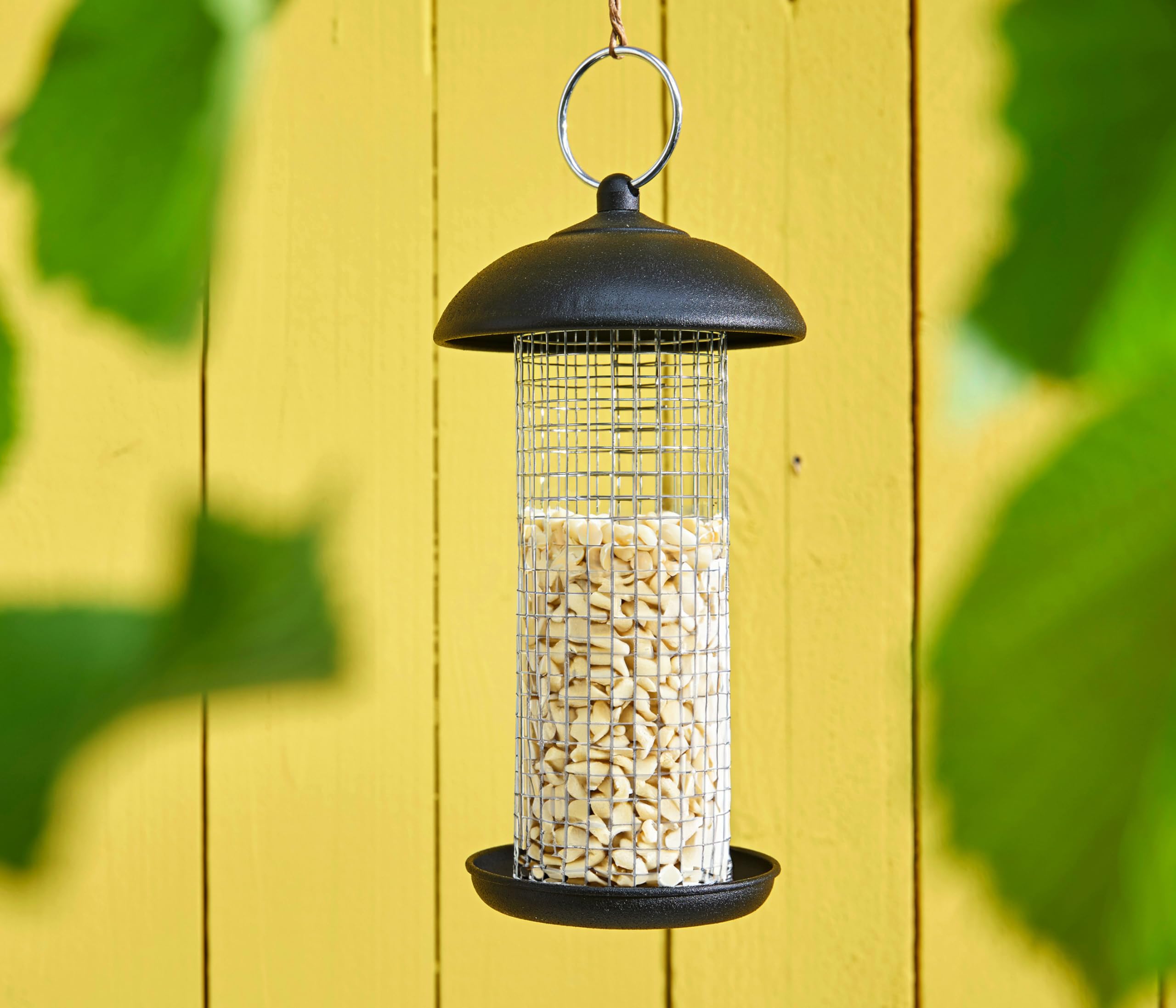 Dehner Natura Premium Wildvogelfutter Erdnüsse 10kg schalenfrei