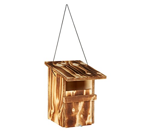 Dehner Natura Premium Wildvogel Nistkasten Halbhohle 70 mm