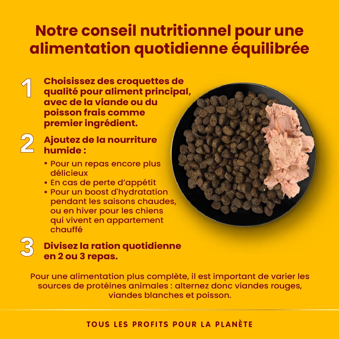 Almo Nature HFC Complete Nordatlantischer Kabeljau Hundefutter 17x85g glutenfrei