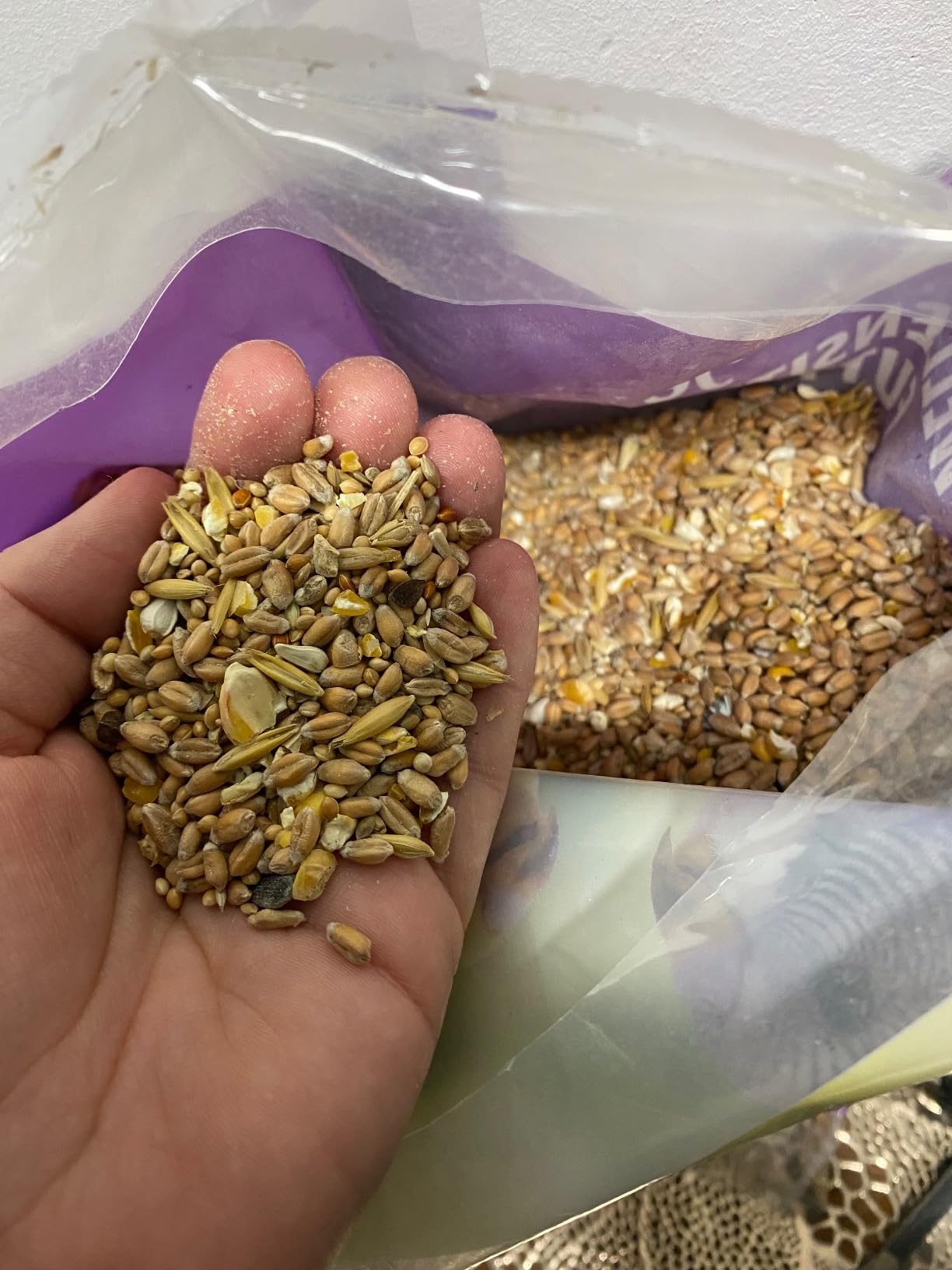 Dehner Lieblinge Wellensittichfutter 5 kg mit Jod
