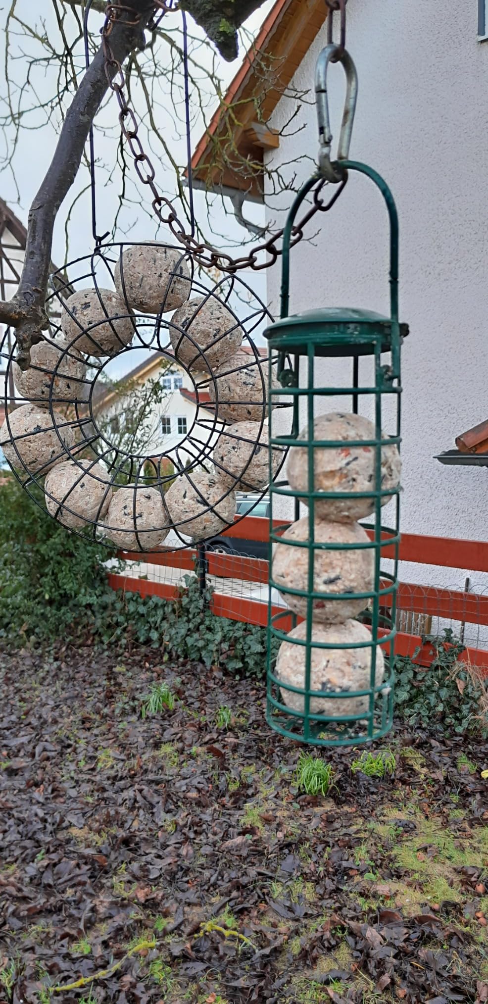 Dehner Natura Meisenknödel o. Netz Nuss 100x90g