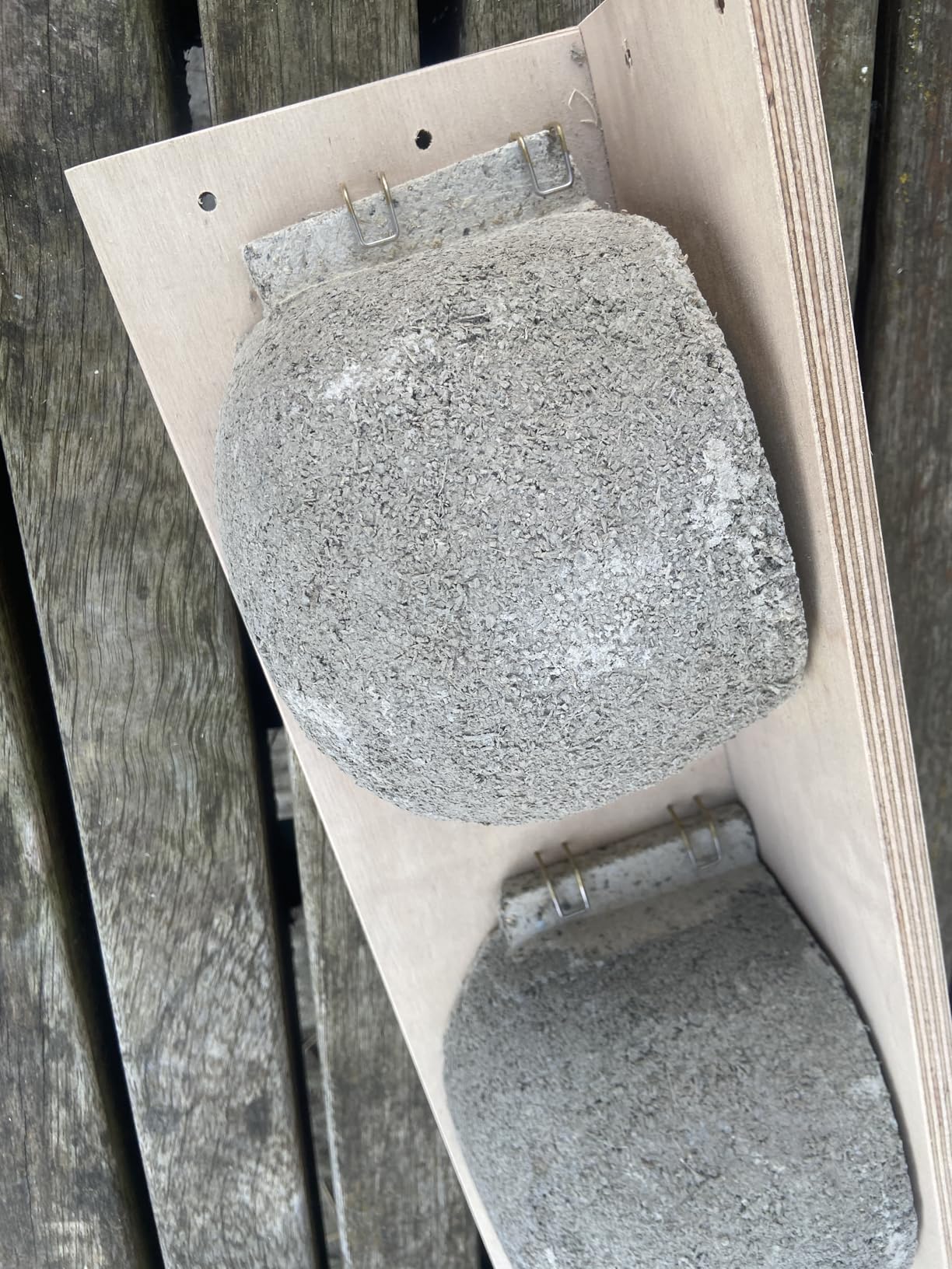 Dehner Natura Mehlschwalben-Doppelnest Nistkasten Holzbeton