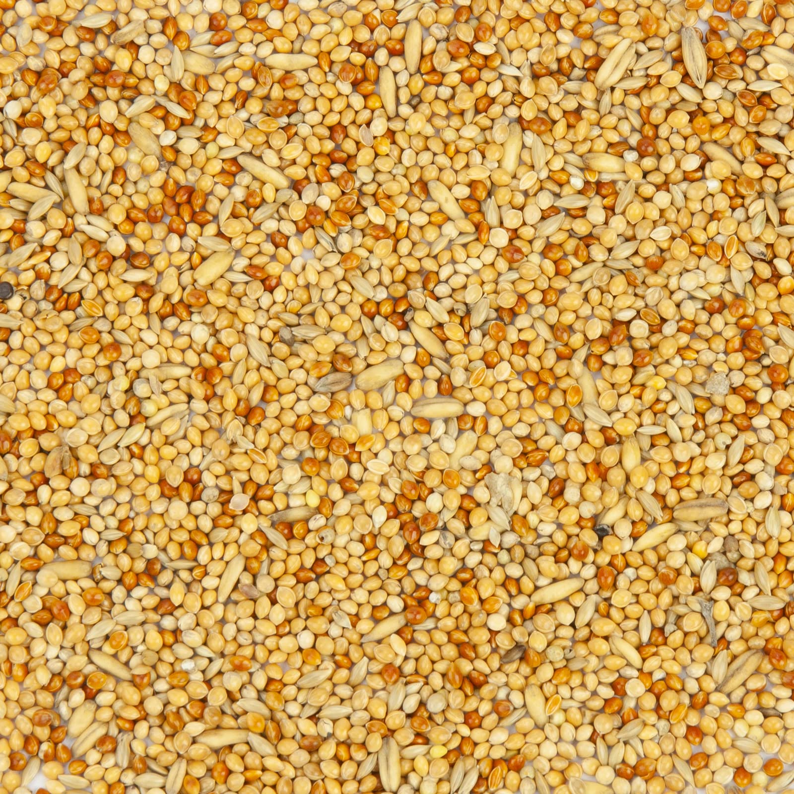 Mr. Crumble Welli-Basic Wellensittichfutter 2,5 kg Hirse