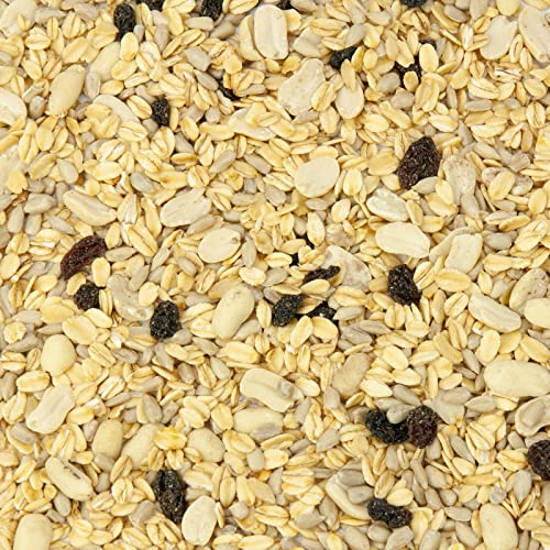 Mr. Crumble Power-Picknick Spitzen-Fettfutter Vogelfutter 5 kg ölig