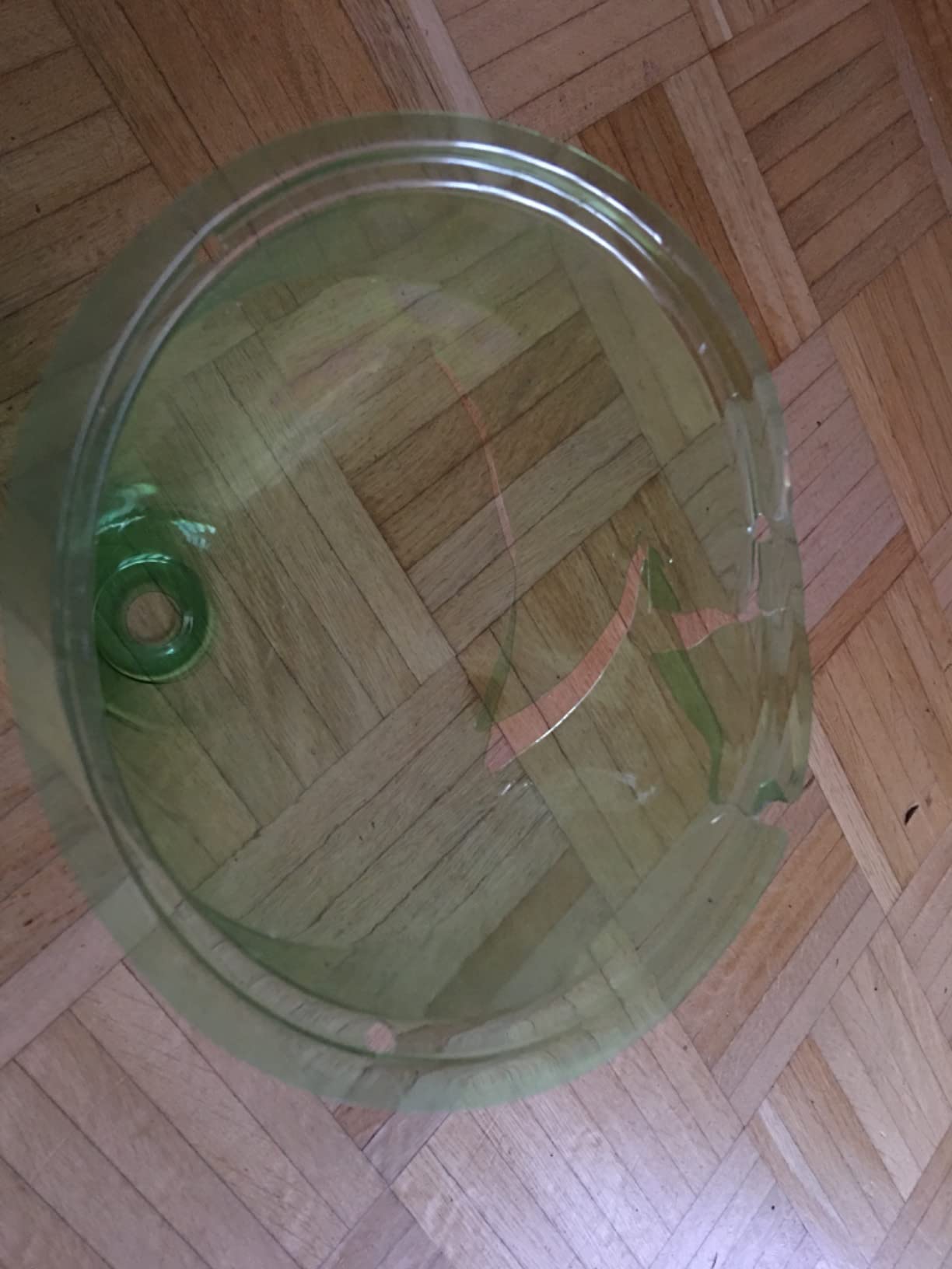 Dehner Pflanzenhut grün 10 Stück Schutz 30cm