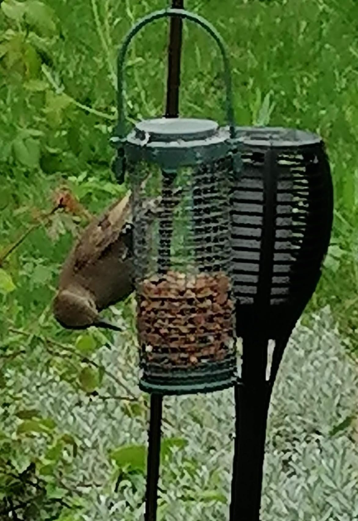 Dehner Natura Premium Wildvogelfutter 5 kg Körner